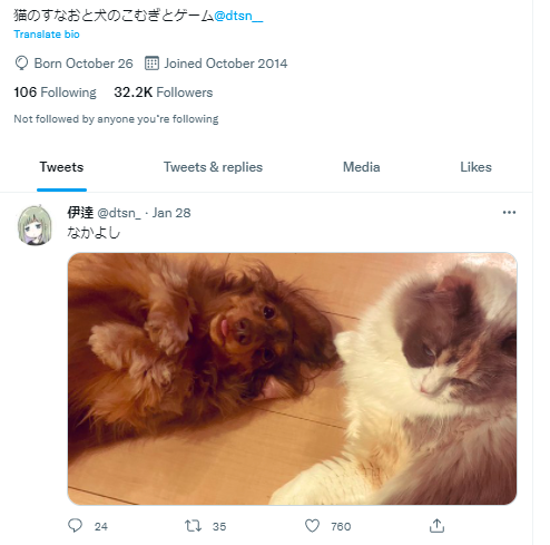 伊達いたち 犬と猫