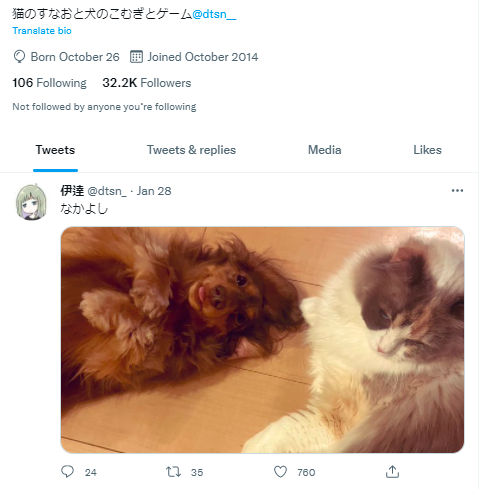 伊達いたち　犬と猫