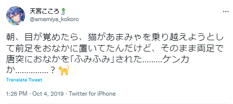天宮こころ 猫