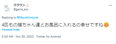 みゆき 猫