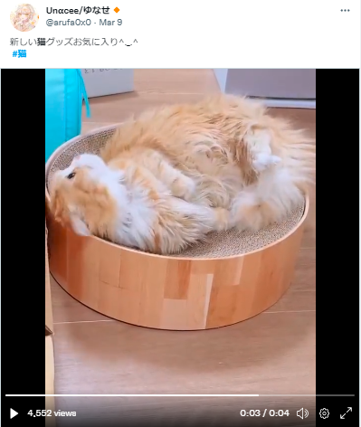 ゆなせ ねこ