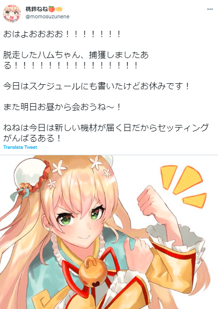 桃鈴ねね ハムスター
