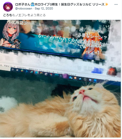 ロボ子さん ねこ