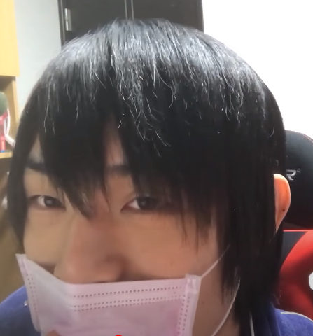 イブラヒム 中の人
