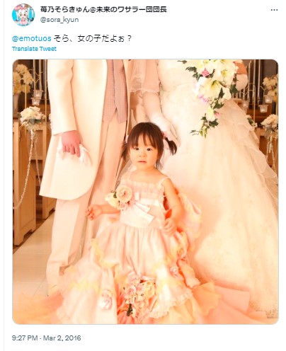 いちごのらいおん 息子